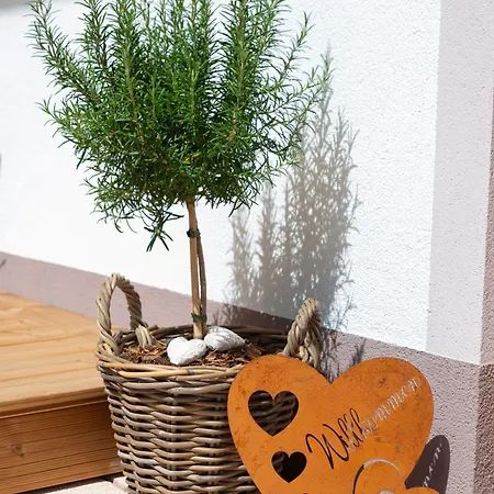 Auszeit Apartamento Alpbach