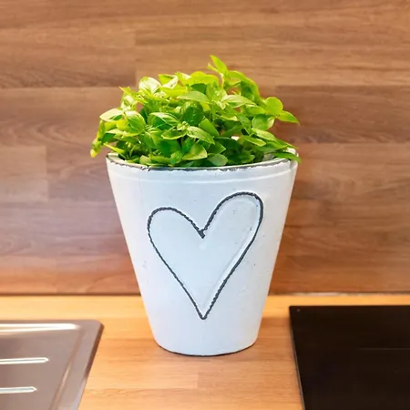 Apartment Auszeit Alpbach